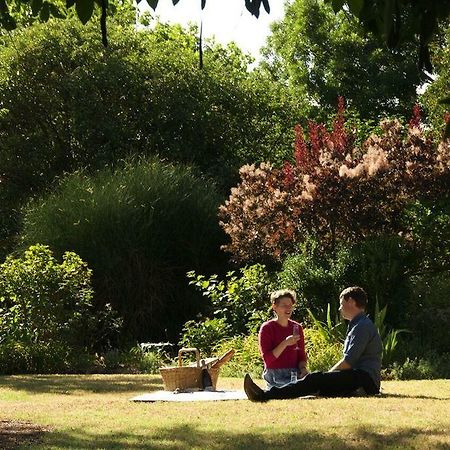 Alexandra Farmstay Dış mekan fotoğraf