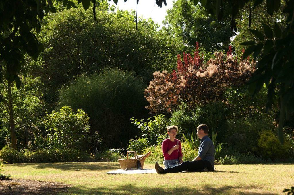 Alexandra Farmstay Dış mekan fotoğraf